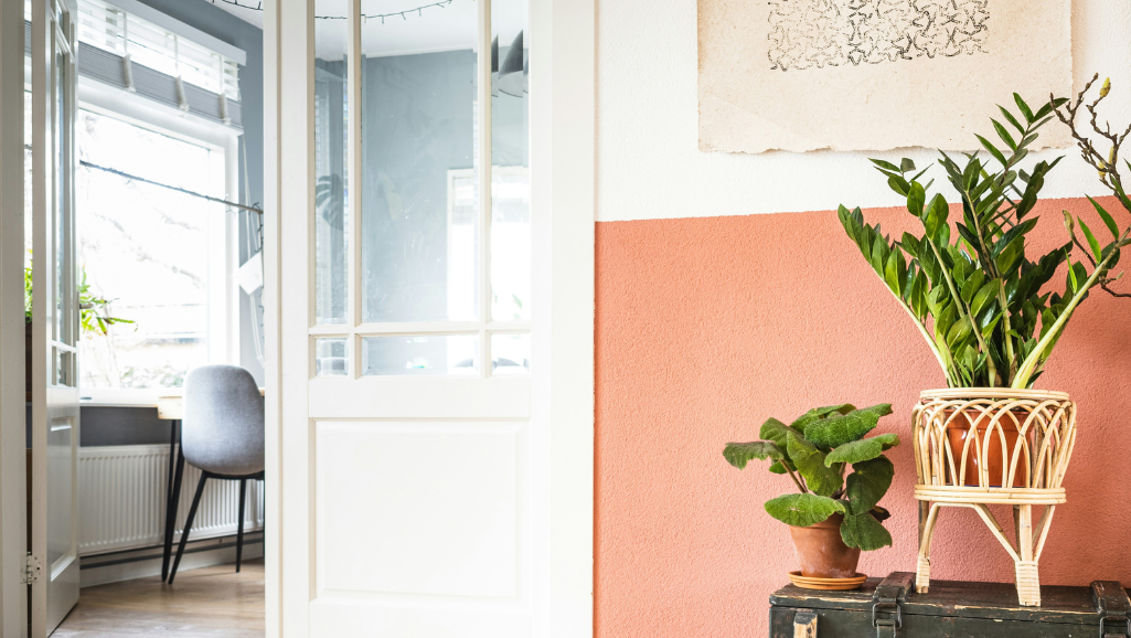 Interijer hodnika s biljkom, u pozadini ured iza staklenih vrata